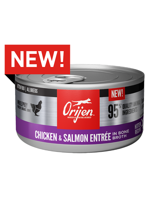 Chicken & Salmon Entrée Wet Kitten Food